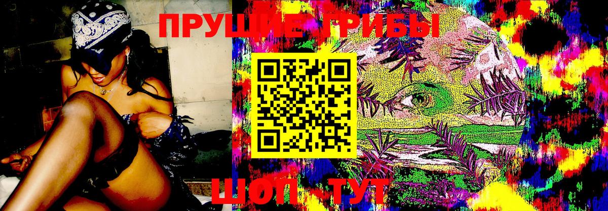 Краснокамск  Псилоцибиновые грибы мухоморы  что такое   Вход с VPN  Галлюциногенные грибы GOLDEN TEACHER 